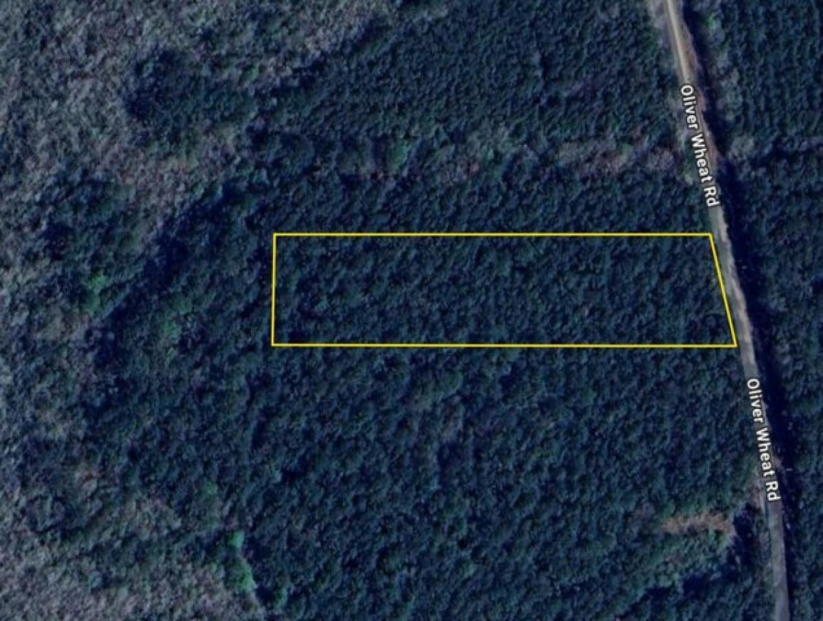 Picture of Residential Land For Sale in Livingston, Louisiana, United States