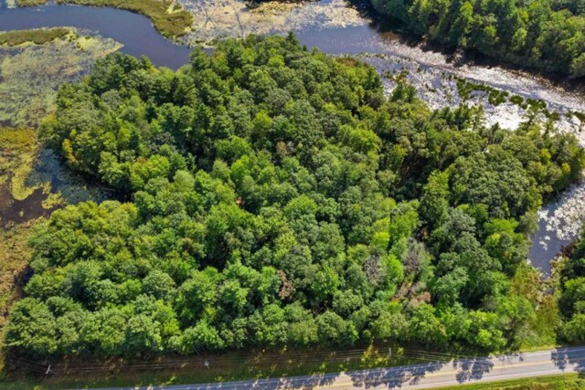 Picture of Residential Land For Sale in Custer, Wisconsin, United States