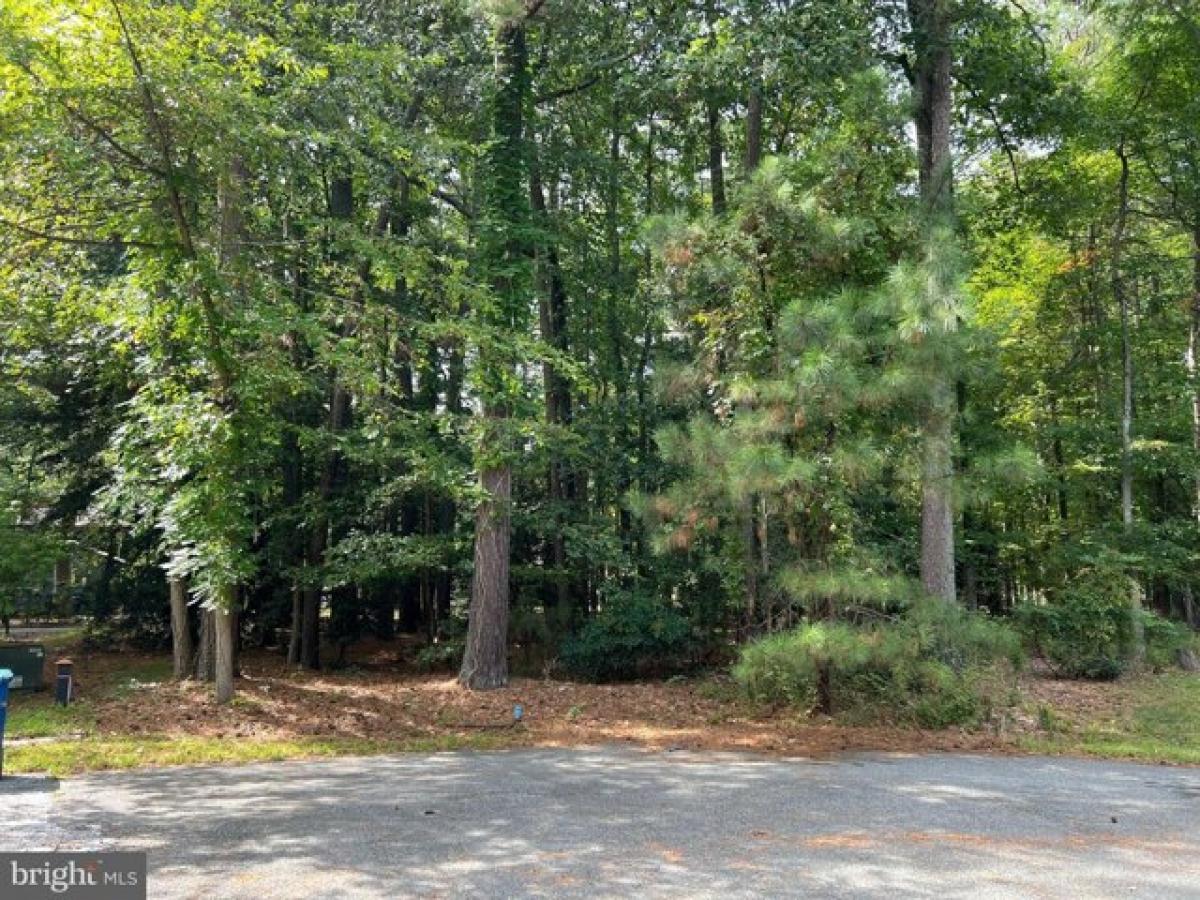 Picture of Residential Land For Sale in Issue, Maryland, United States