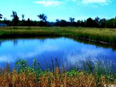 Residential Land For Sale in Loris, South Carolina