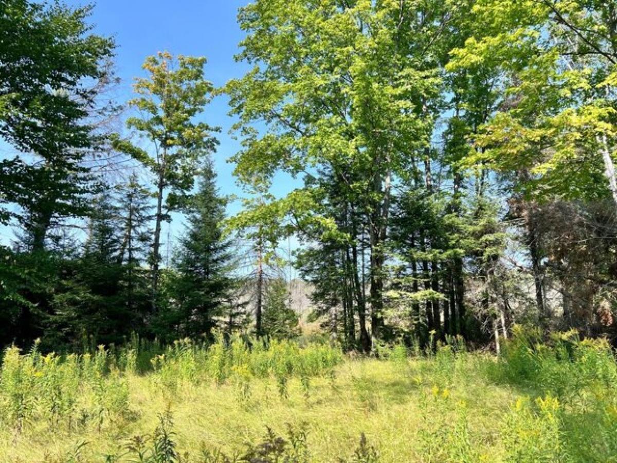 Picture of Residential Land For Sale in Phelps, Wisconsin, United States