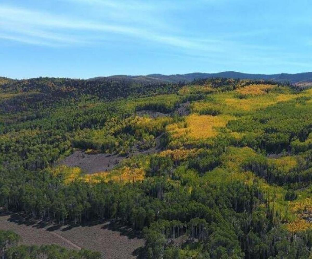 Picture of Residential Land For Sale in Richfield, Utah, United States