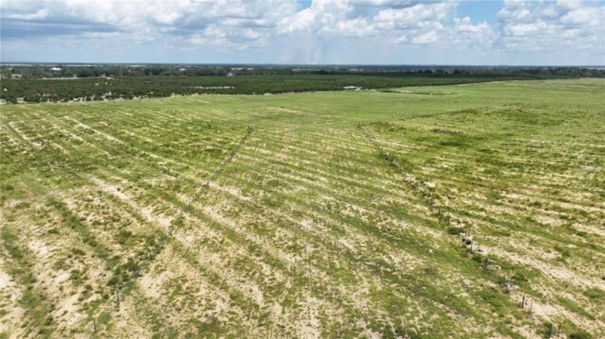 Picture of Residential Land For Sale in Sebring, Florida, United States