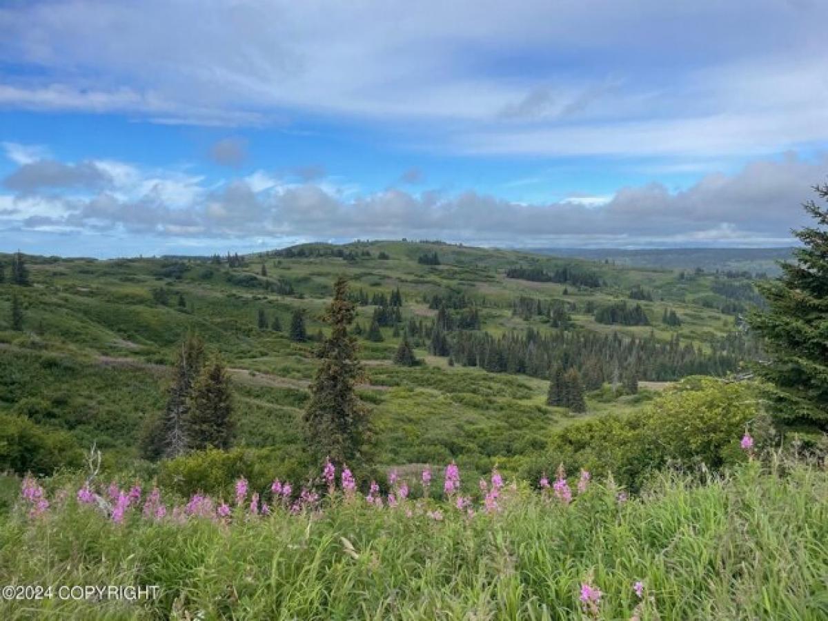 Picture of Residential Land For Sale in Anchor Point, Alaska, United States