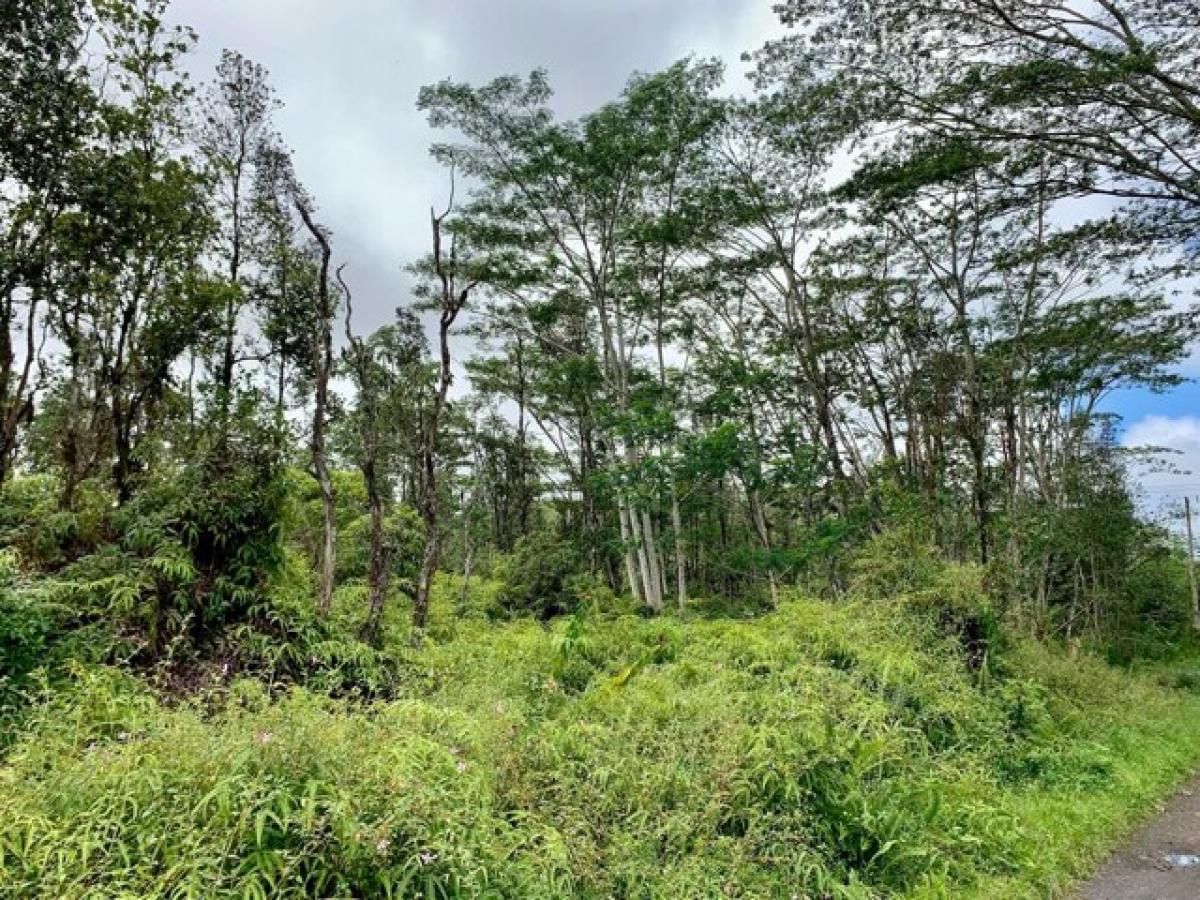 Picture of Residential Land For Rent in Pahoa, Hawaii, United States