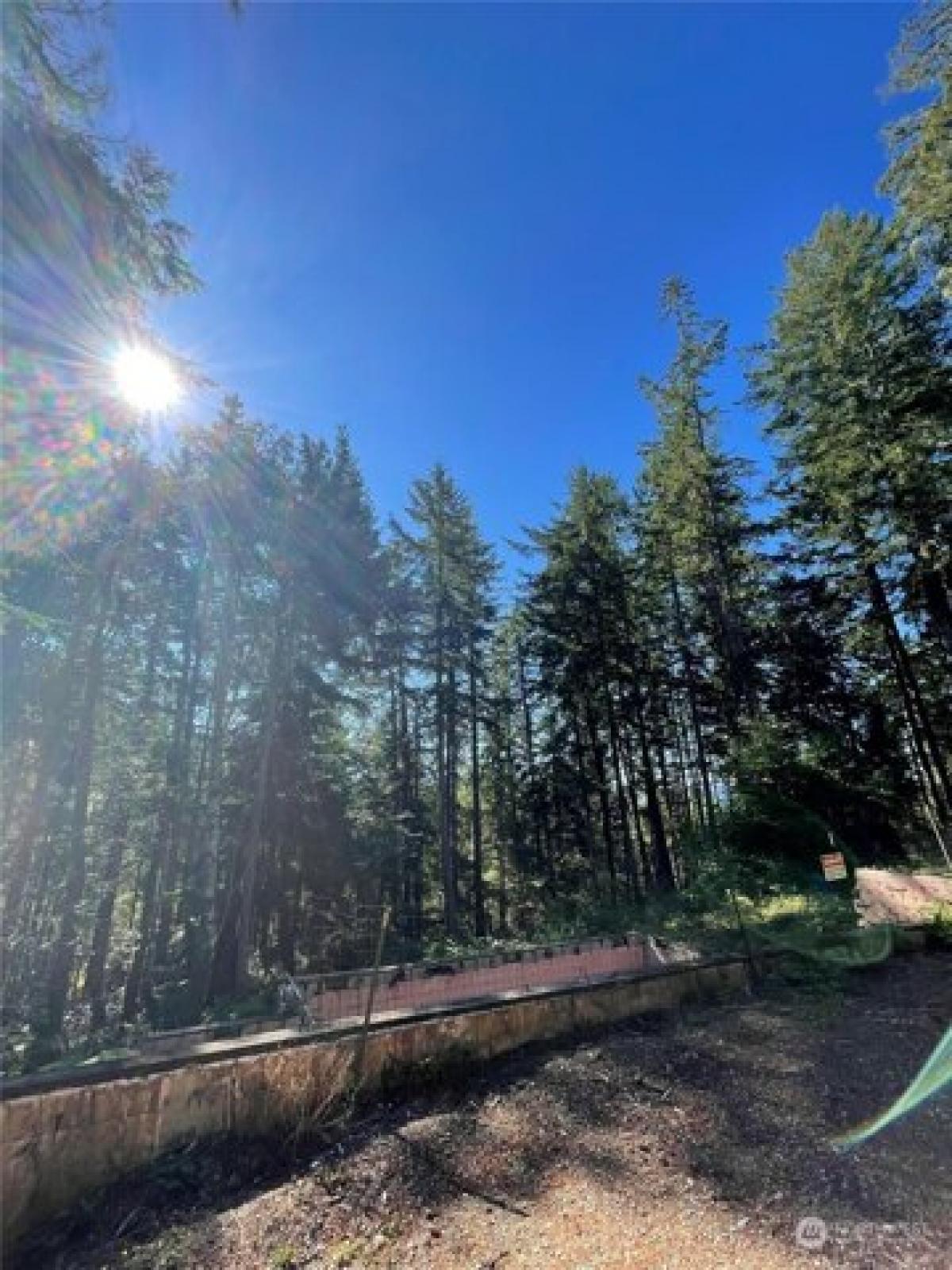 Picture of Residential Land For Sale in Lilliwaup, Washington, United States