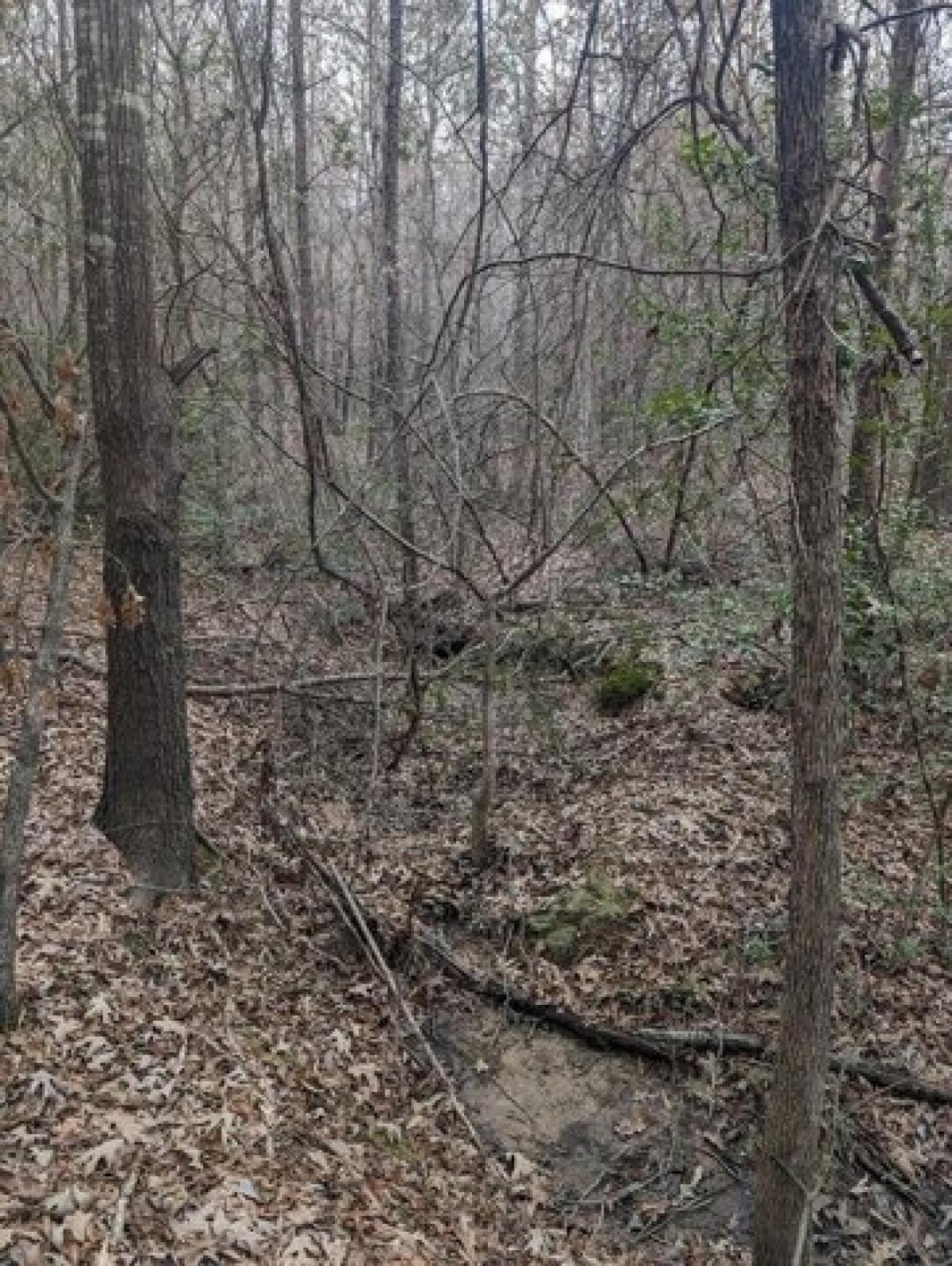 Picture of Residential Land For Sale in Hawkins, Texas, United States