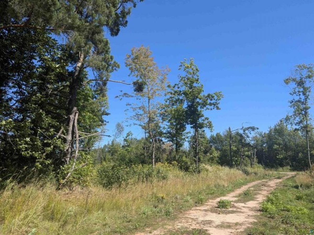 Picture of Residential Land For Sale in Bayfield, Wisconsin, United States