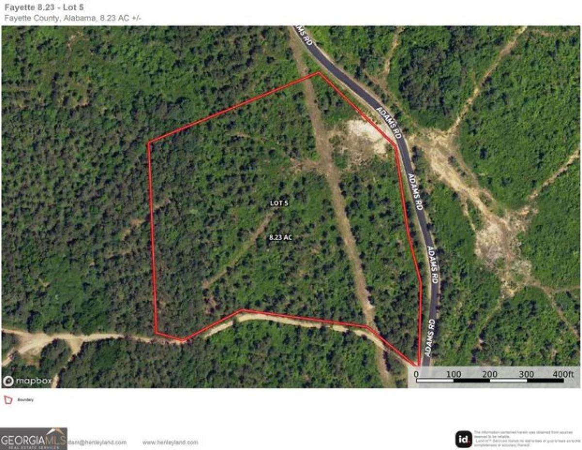 Picture of Residential Land For Sale in Fayette, Alabama, United States