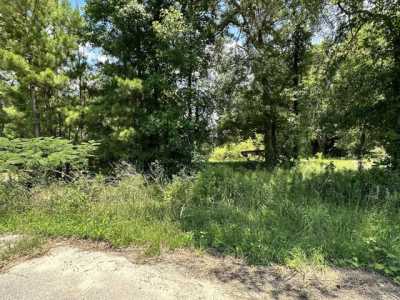 Residential Land For Sale in Andrews, South Carolina