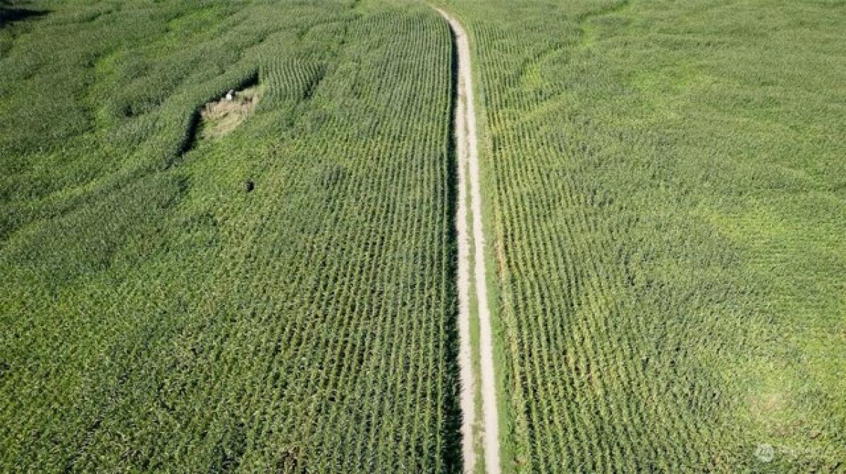 Picture of Residential Land For Sale in Everson, Washington, United States