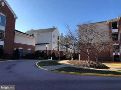 Apartment For Rent in Alexandria, Virginia