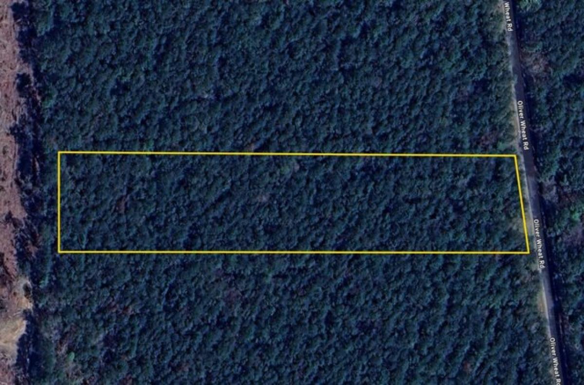 Picture of Residential Land For Sale in Livingston, Louisiana, United States