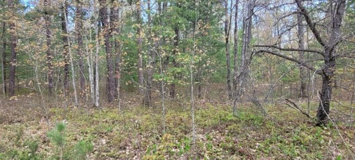 Picture of Residential Land For Rent in Rogers City, Michigan, United States