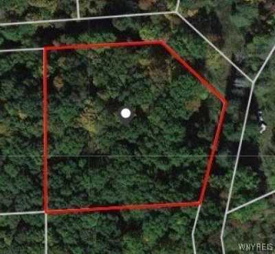 Residential Land For Sale in East Otto, New York
