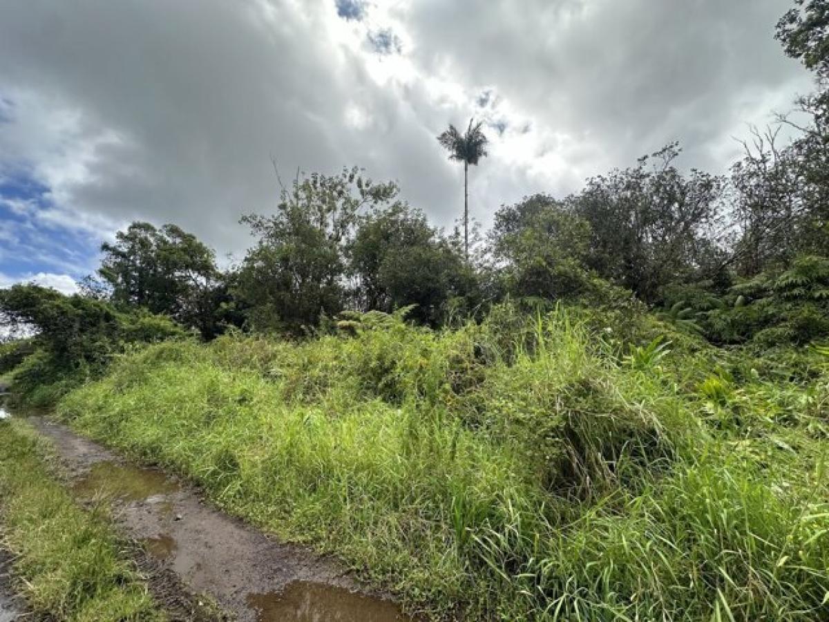 Picture of Residential Land For Rent in Mountain View, Hawaii, United States