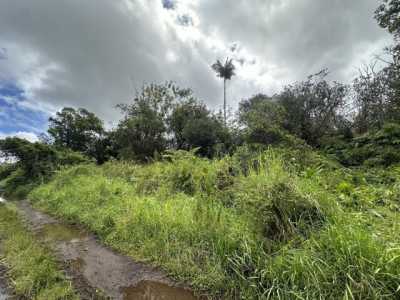 Residential Land For Rent in Mountain View, Hawaii