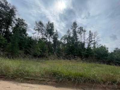 Residential Land For Sale in Roscommon, Michigan