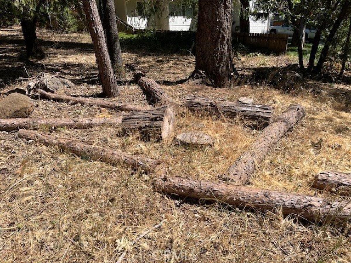 Picture of Residential Land For Sale in Magalia, California, United States