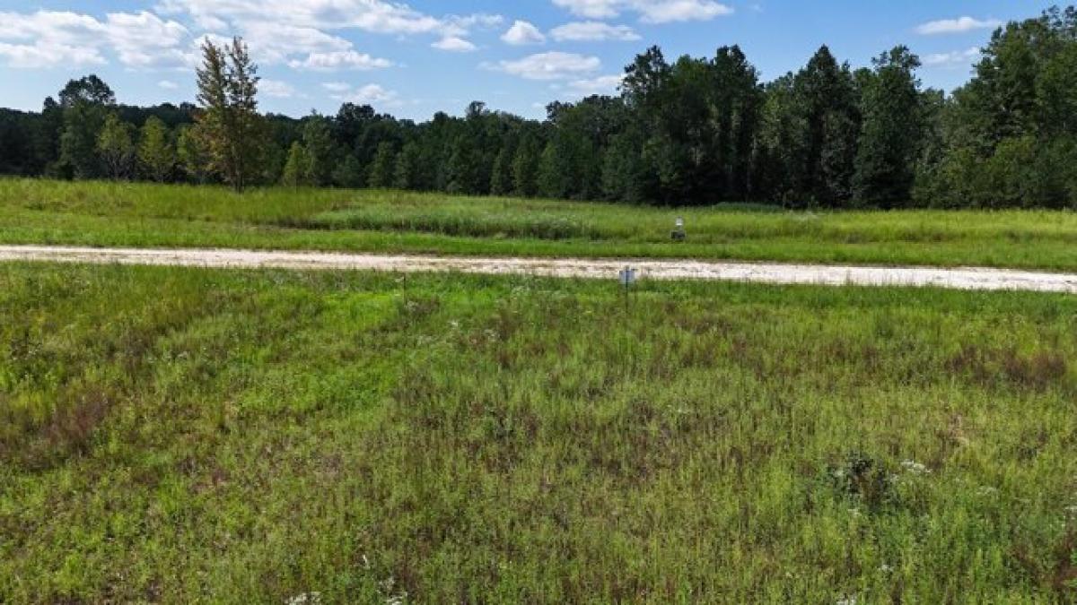 Picture of Residential Land For Sale in Indian Mound, Tennessee, United States