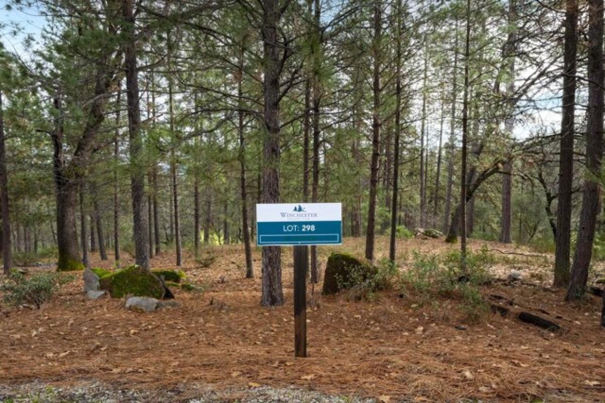 Picture of Residential Land For Sale in Meadow Vista, California, United States