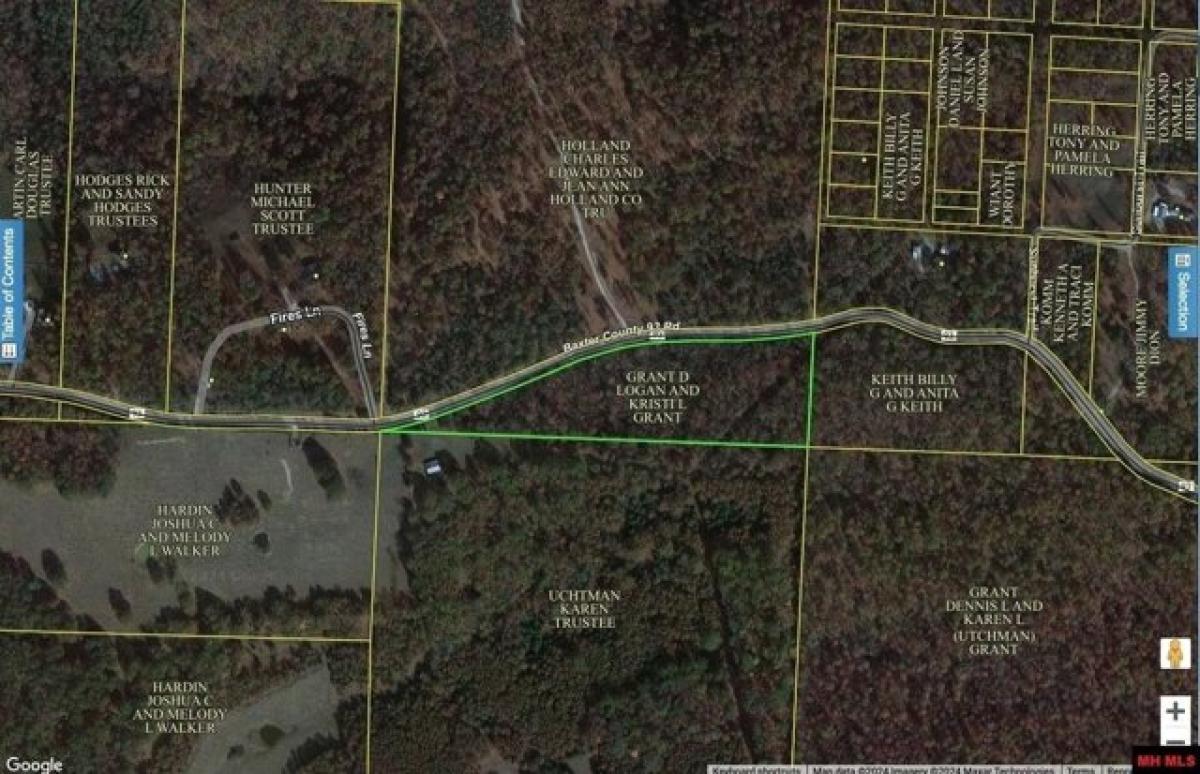 Picture of Residential Land For Sale in Elizabeth, Arkansas, United States