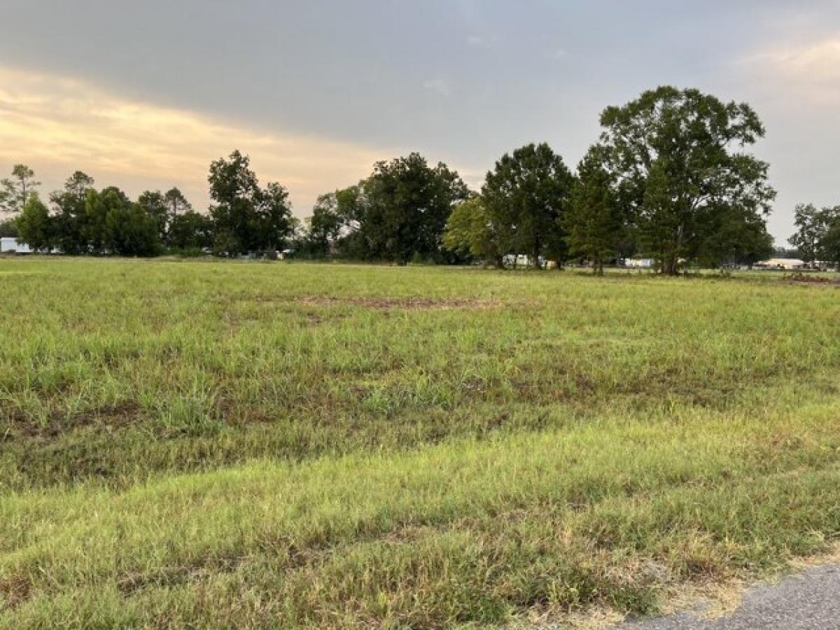 Picture of Residential Land For Sale in Arnaudville, Louisiana, United States
