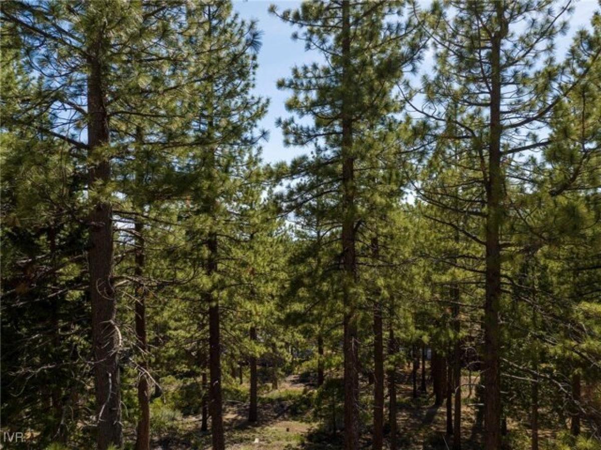 Picture of Residential Land For Sale in Incline Village, Nevada, United States