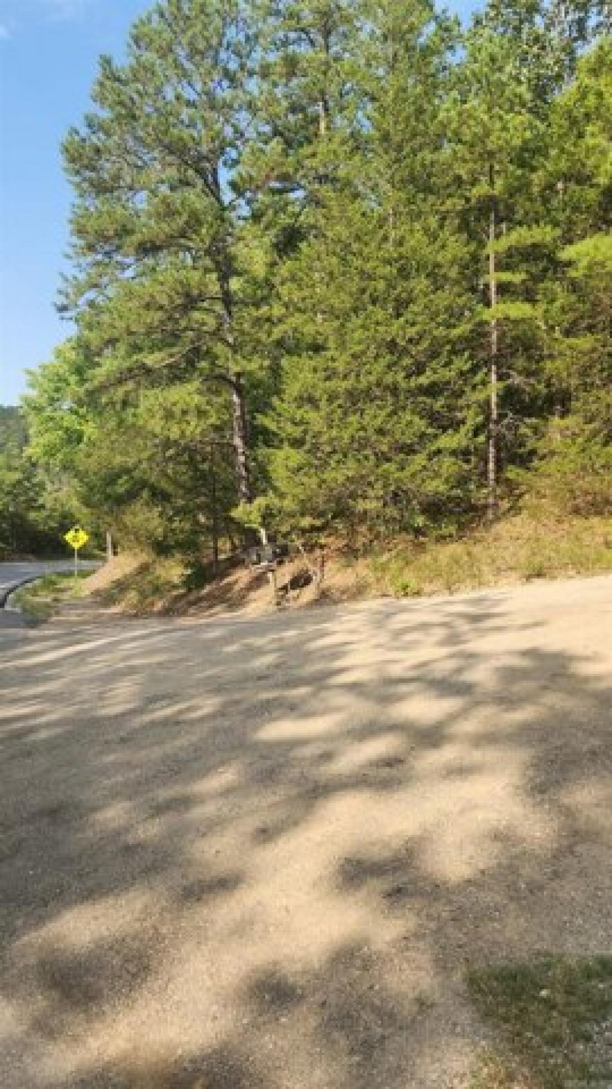Picture of Residential Land For Sale in Mountain View, Arkansas, United States