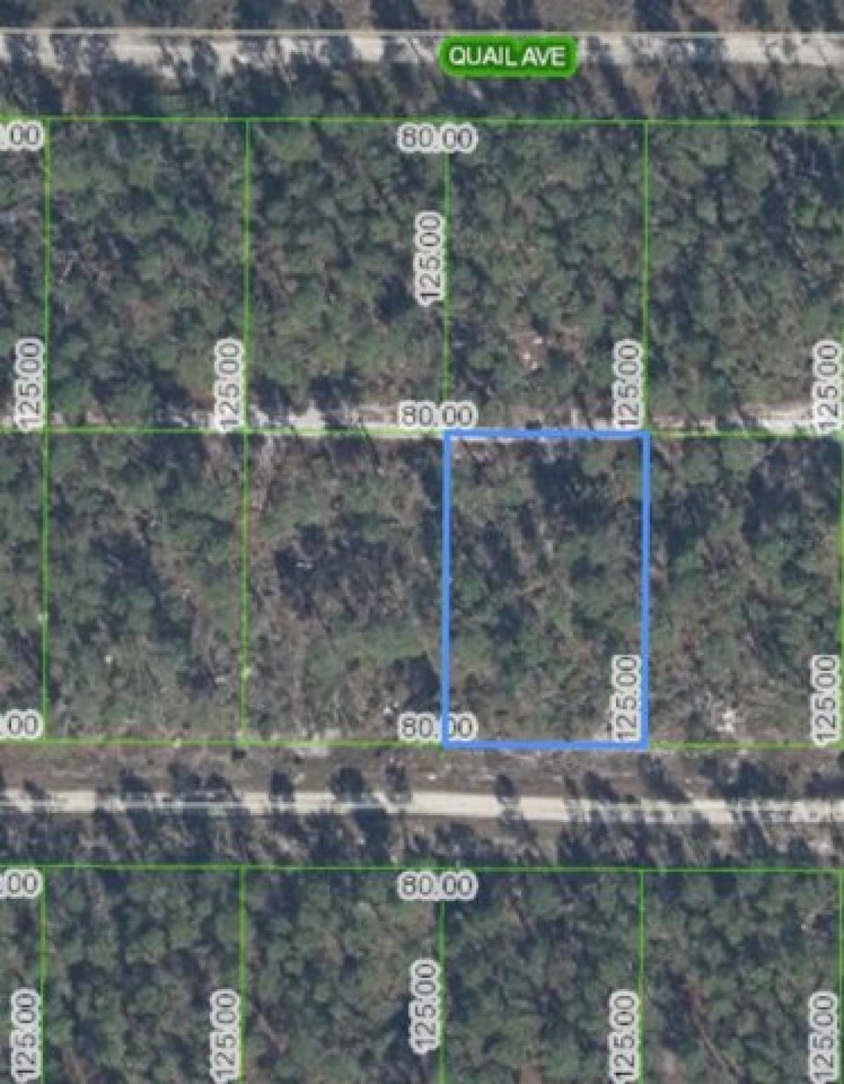 Picture of Residential Land For Rent in Sebring, Florida, United States