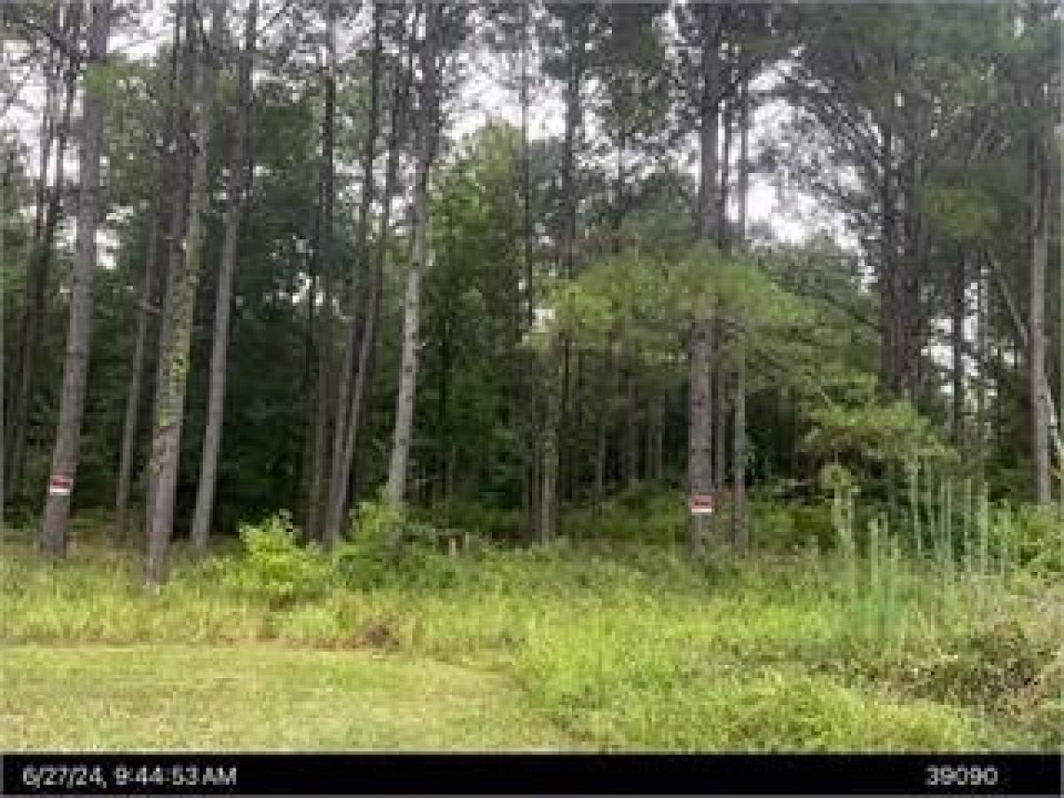 Picture of Residential Land For Sale in Albany, Georgia, United States