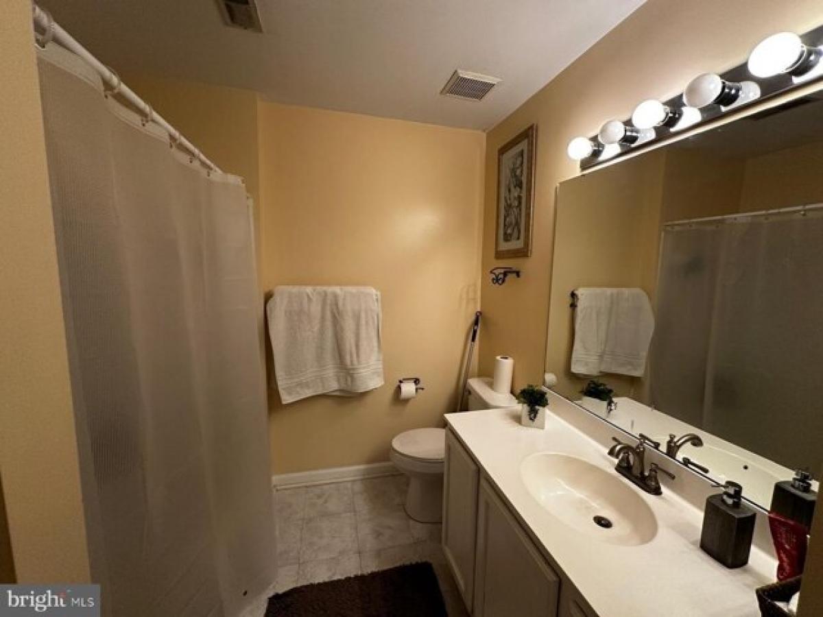 Picture of Home For Rent in Gainesville, Virginia, United States