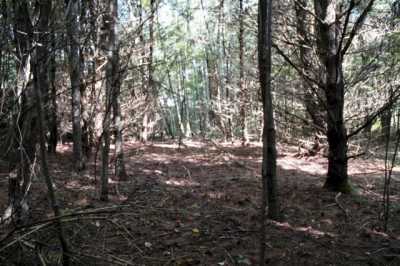Residential Land For Sale in Benton, Maine