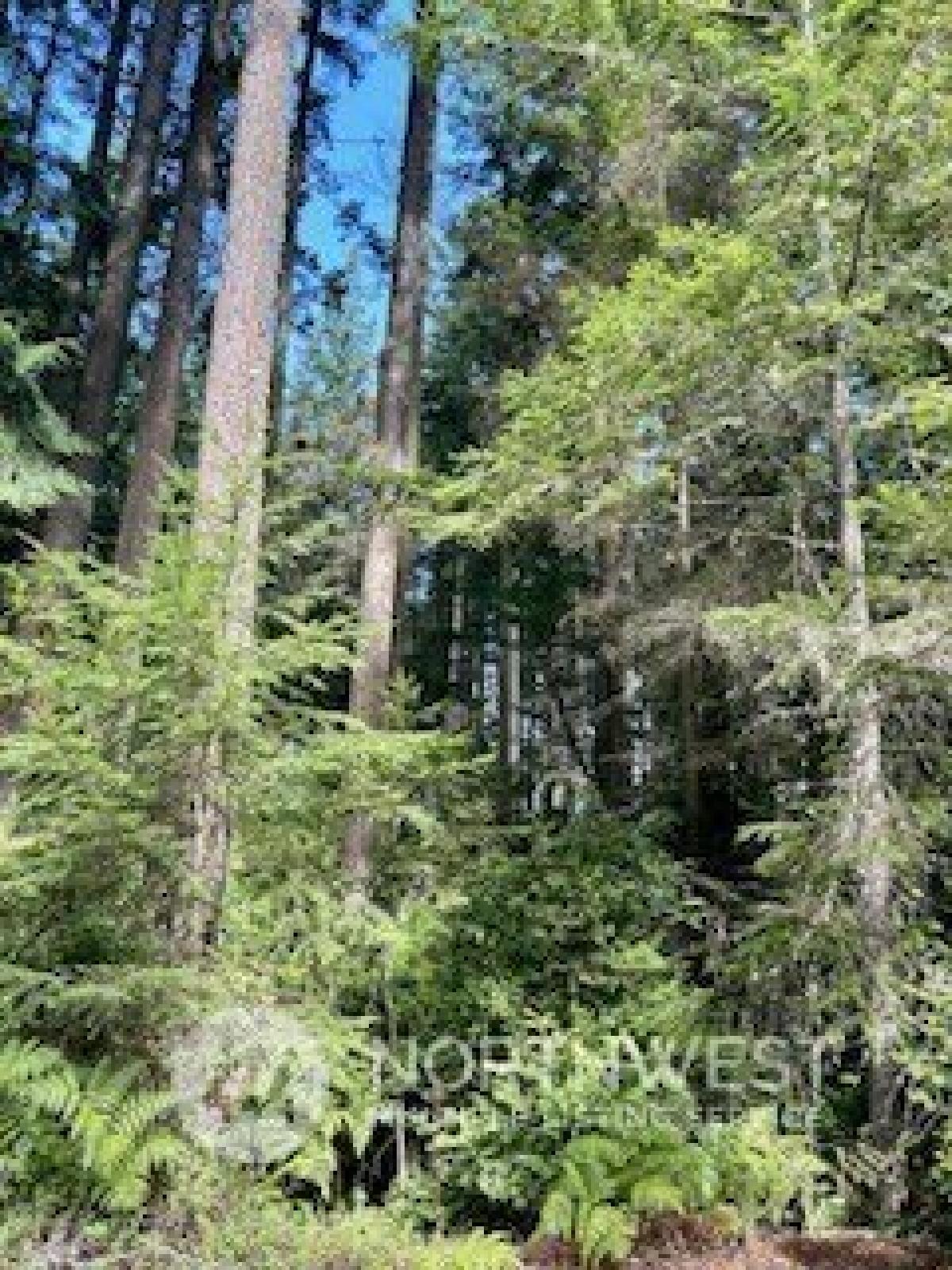 Picture of Residential Land For Sale in Greenbank, Washington, United States