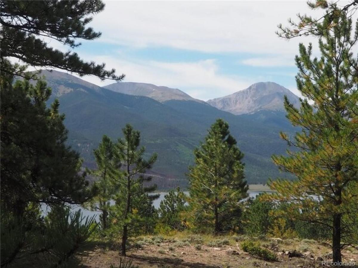 Picture of Residential Land For Sale in Twin Lakes, Colorado, United States