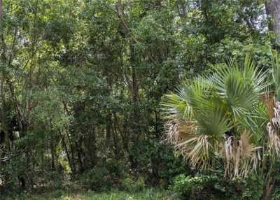 Residential Land For Sale in Micanopy, Florida