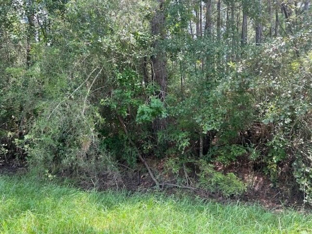 Picture of Residential Land For Sale in Wewahitchka, Florida, United States