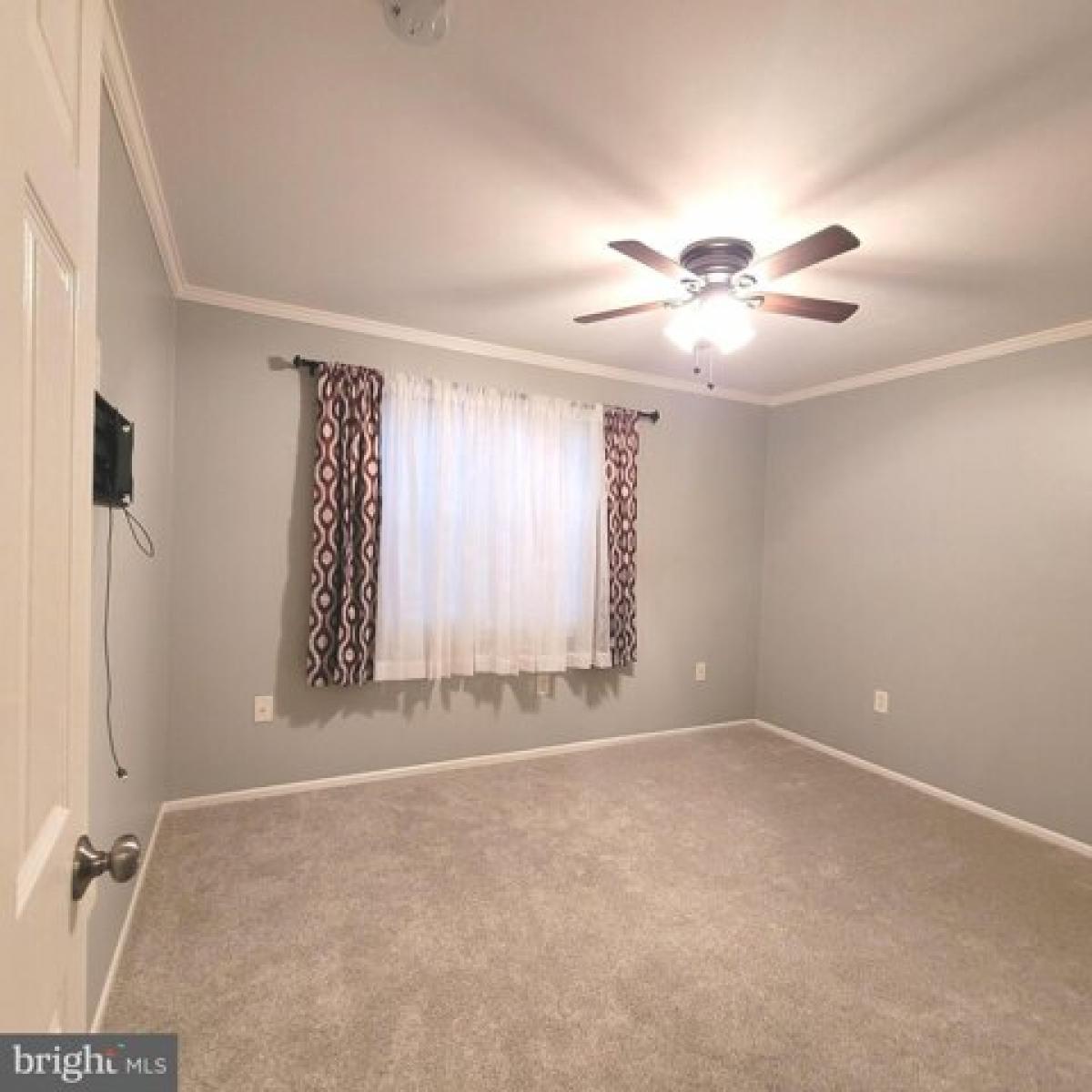Picture of Apartment For Rent in Woodbridge, Virginia, United States