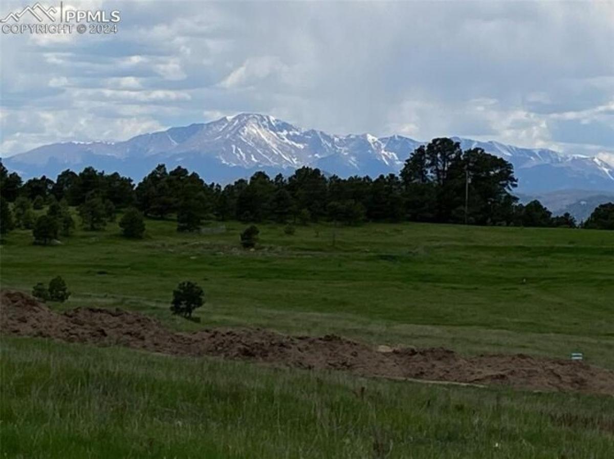Picture of Residential Land For Sale in Colorado Springs, Colorado, United States