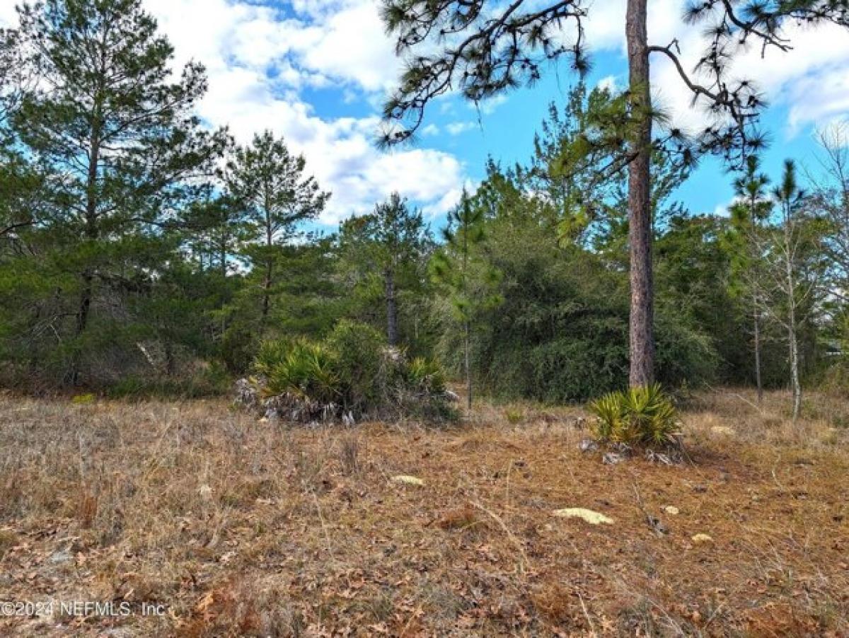 Picture of Residential Land For Sale in Keystone Heights, Florida, United States