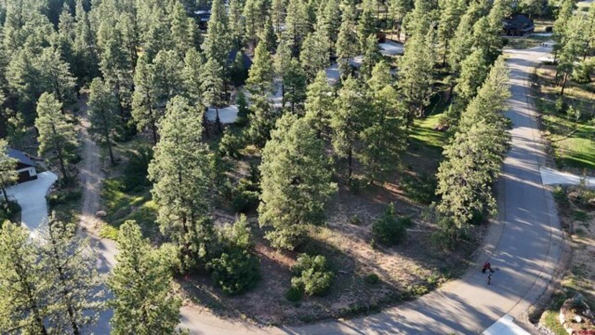 Picture of Residential Land For Sale in Durango, Colorado, United States