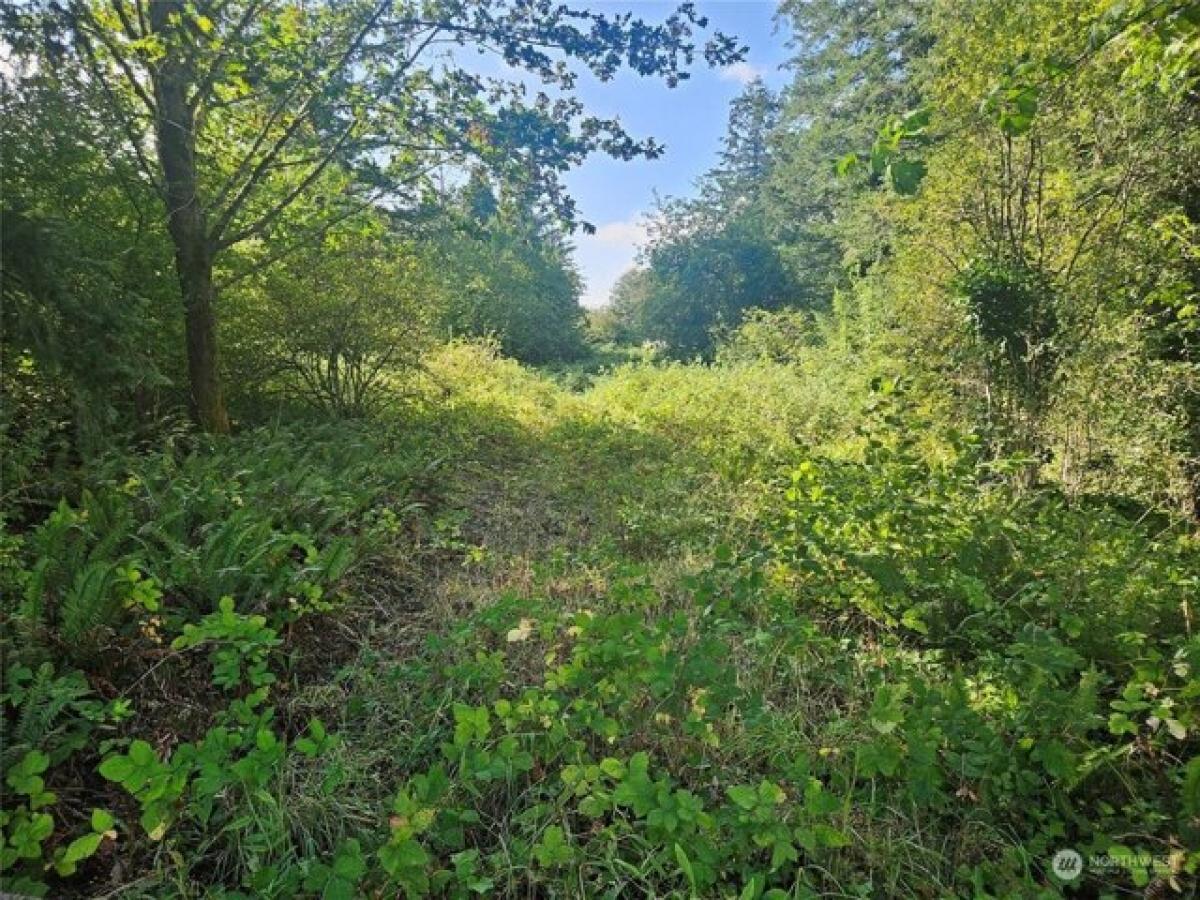 Picture of Residential Land For Sale in Quilcene, Washington, United States