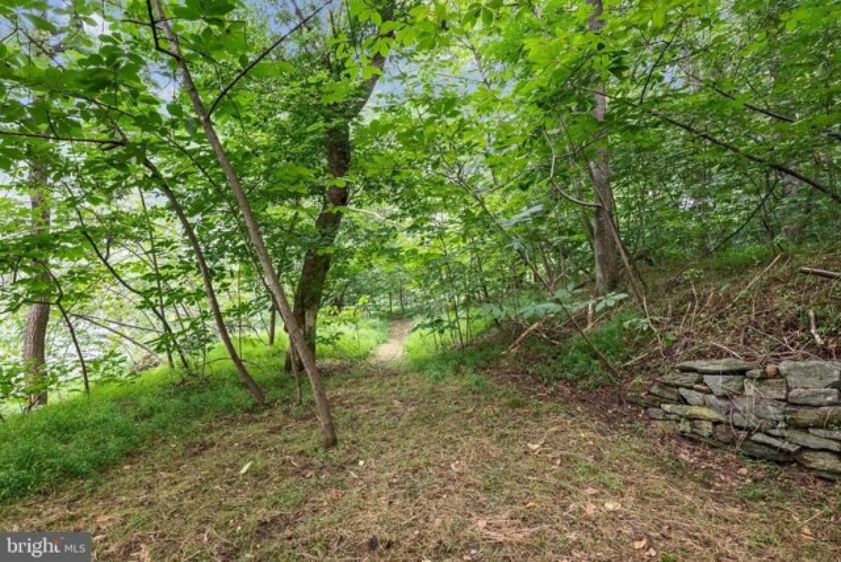 Picture of Residential Land For Sale in Shepherdstown, West Virginia, United States