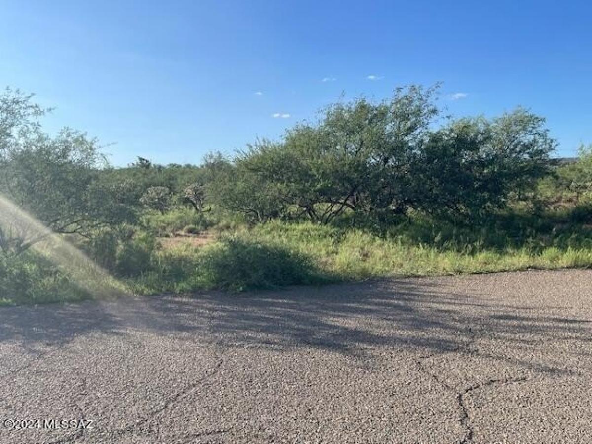 Picture of Residential Land For Rent in Rio Rico, Arizona, United States