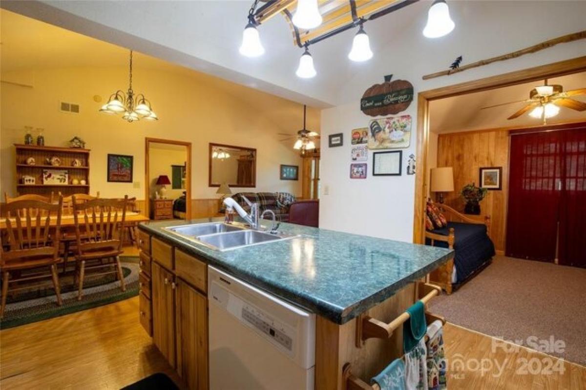 Picture of Home For Sale in Spruce Pine, North Carolina, United States