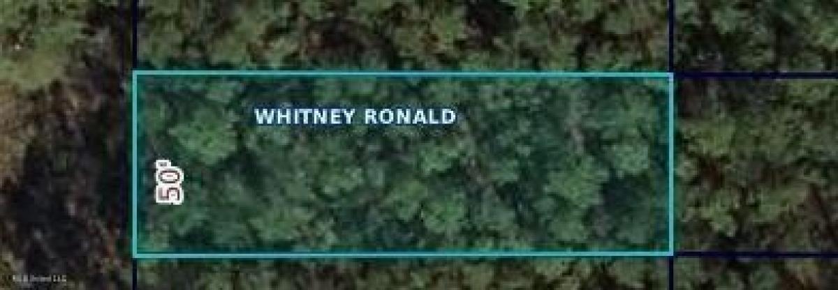 Picture of Residential Land For Rent in Waveland, Mississippi, United States