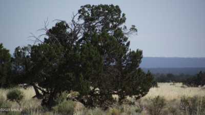 Residential Land For Rent in 