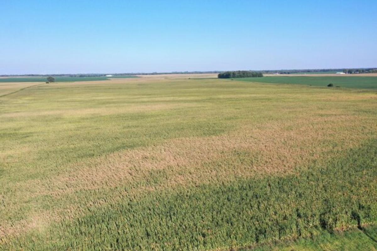 Picture of Residential Land For Rent in Pilot Mound, Iowa, United States