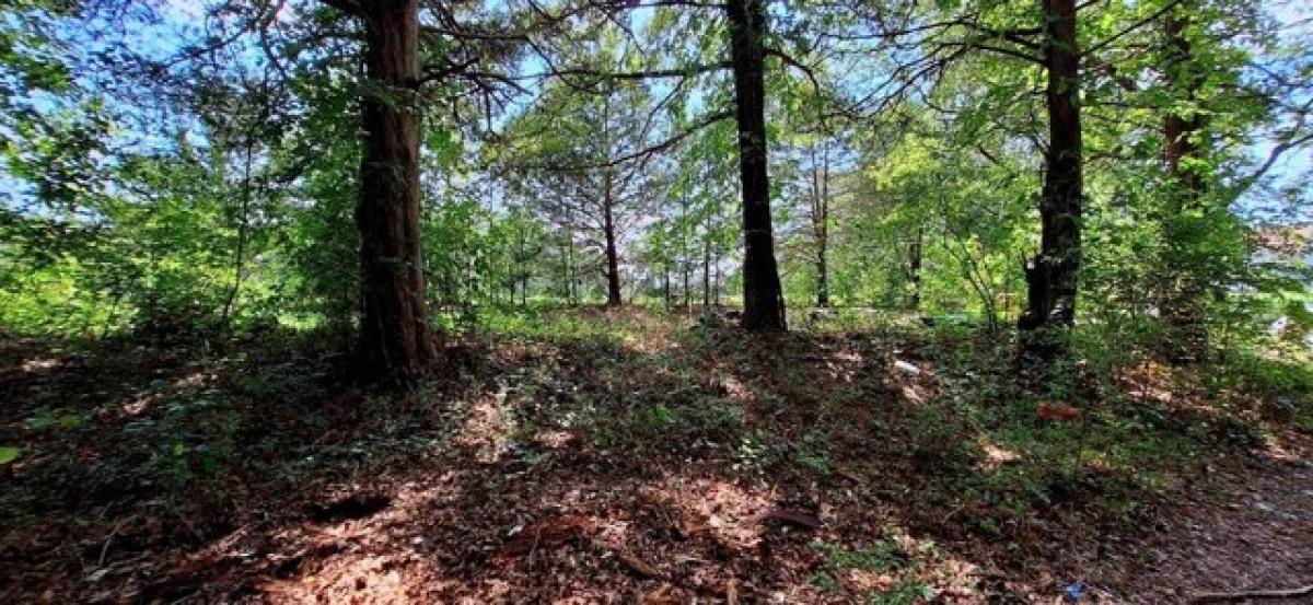 Picture of Residential Land For Sale in Colonial Beach, Virginia, United States