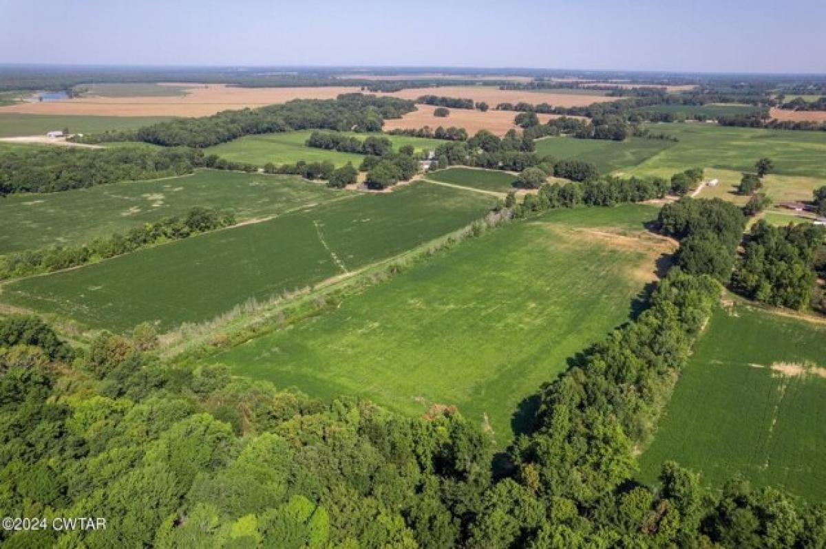 Picture of Residential Land For Sale in Bells, Tennessee, United States